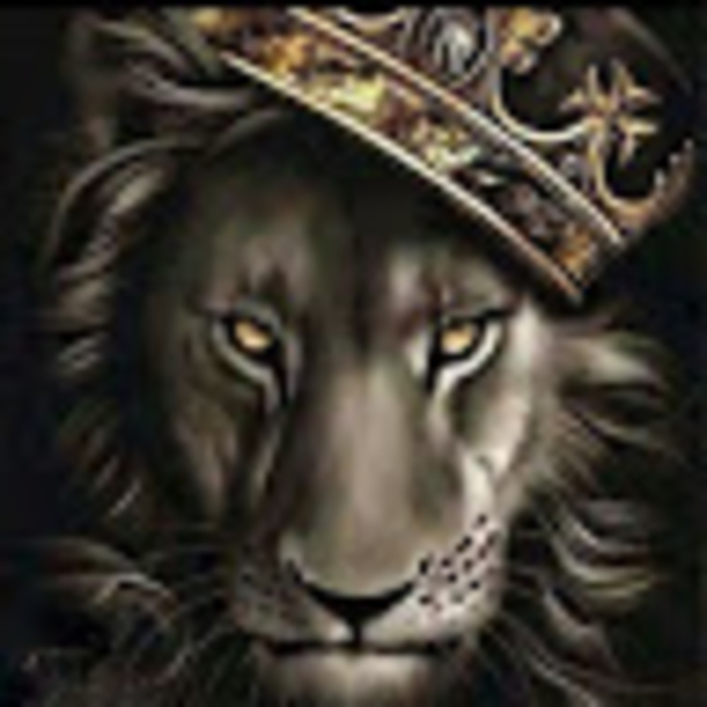 Meet your Posher, Beatzlikedis